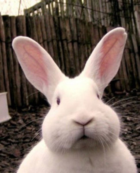 Сакен Жармаганбетов