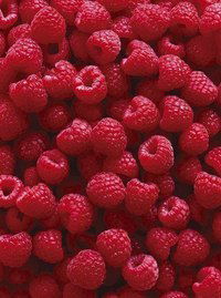 Зухра Омарова