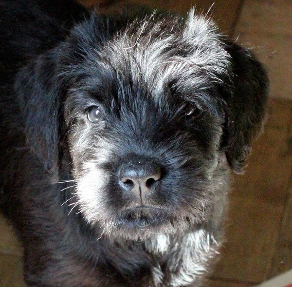 Настя Селезень