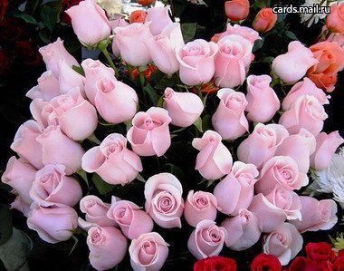 Асылкан Жалиева