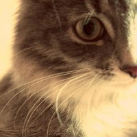 Кира Лялева