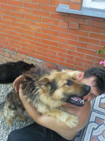 Анатолий Богданов