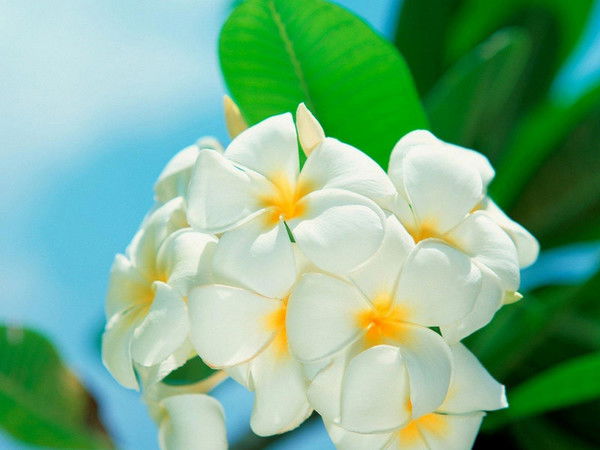 Светлана Крамлих