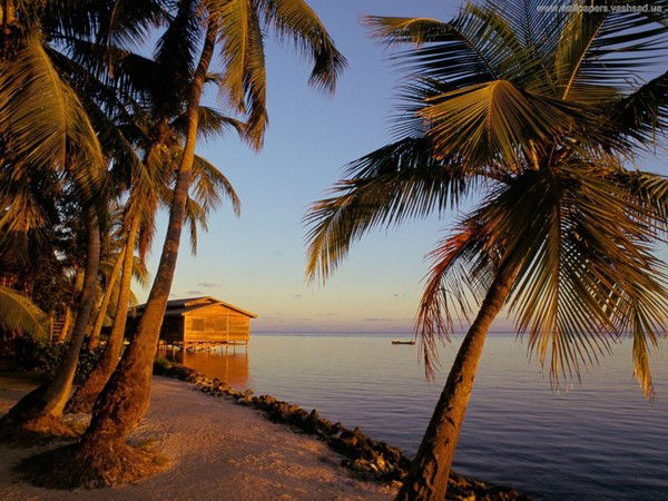 Виталя Шашкин