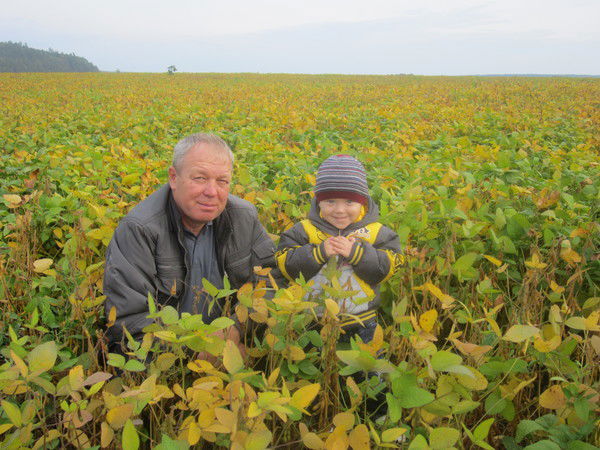 Андрей Плотников