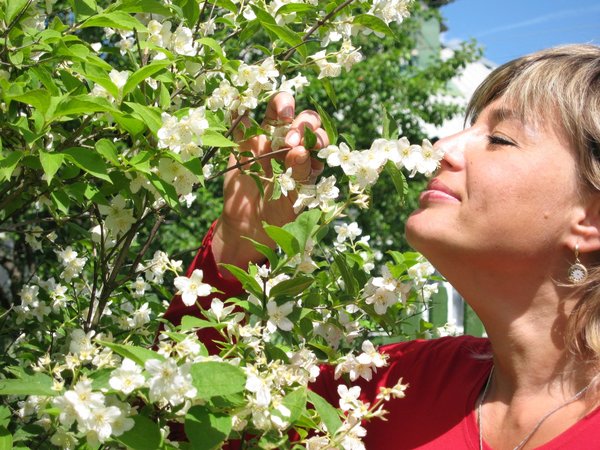 Вероника Кухарева