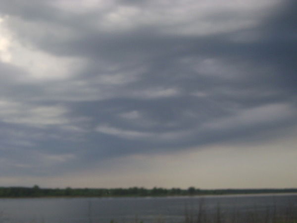 Марина Владимировна