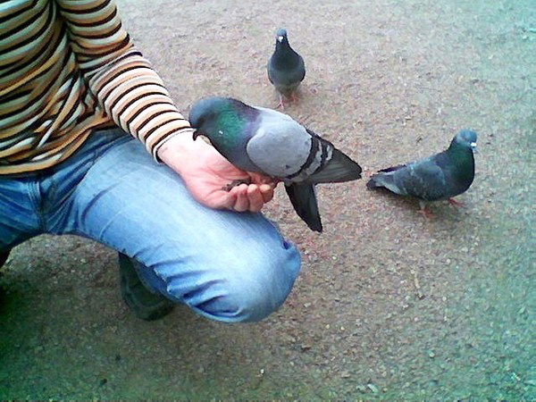 Андрей Александрович