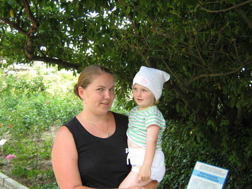 Екатерина Степина