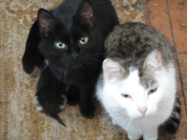 Ольга **севрюгина