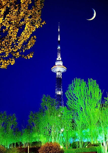 Марианна Кустодиева