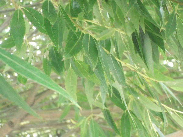 Татьяна Ильмурзина