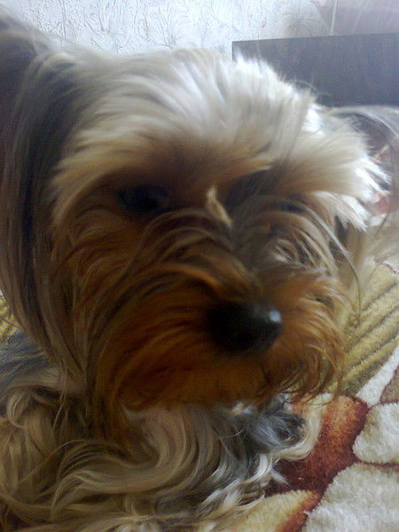 Анастасия Ославская