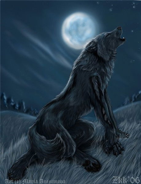 Дарья Болотина