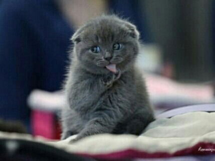 Зарина Набиуллина