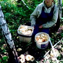 Светлана Портнова