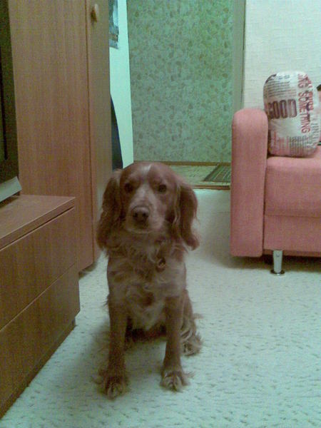 Никита Островских