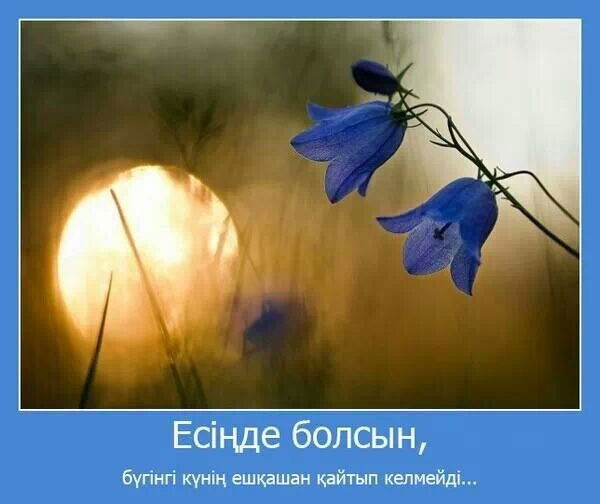 Турар Кожыков