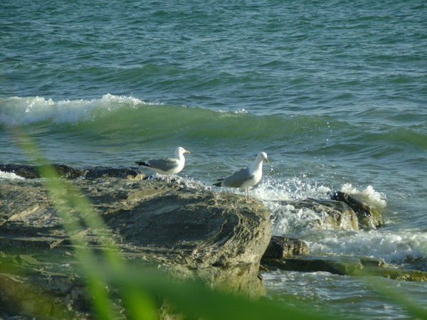 Наталья Иконникова