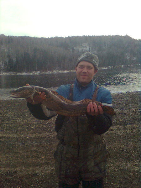 Максим Ажгибцев