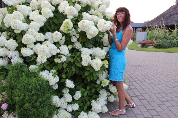 Светлана ***