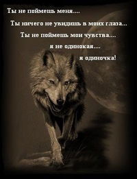 Анастасия Кондрашова