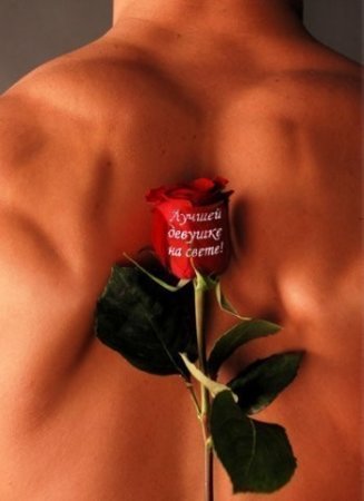 Дормидонт ***