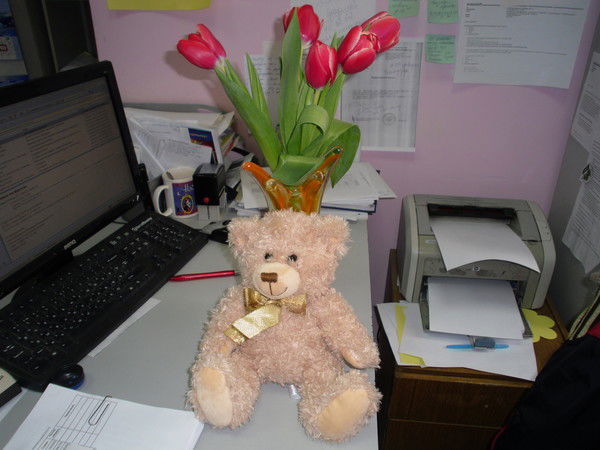 Ангелина Плотникова