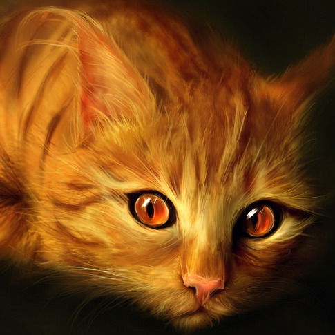 Елена Колесникова