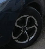 Антон Рязанцев