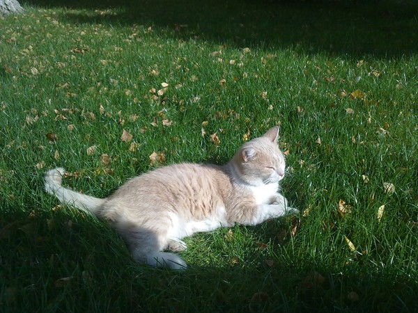 Куда Ветер Дует...