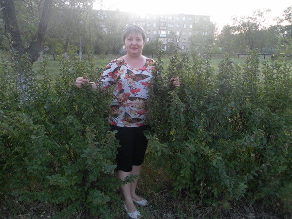 Евгения Плотникова(Новикова)