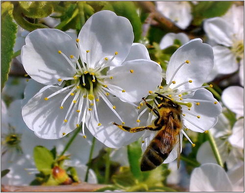 Ольга Ольга