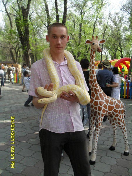 Александр Брауэр