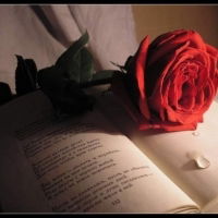 Амар Арасай