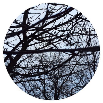 Олеся Молчанова