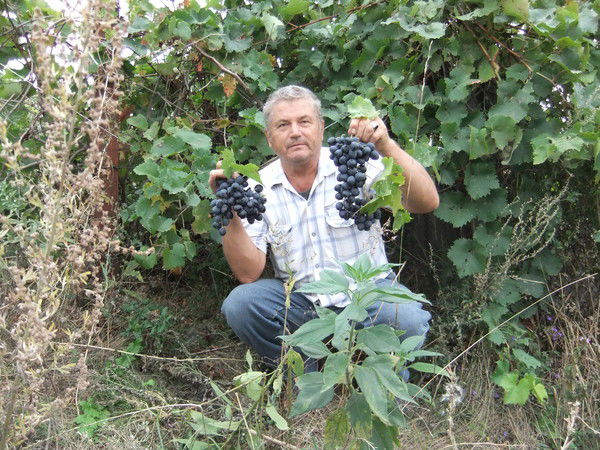 Юрий Агапов