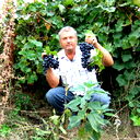 Юрий Агапов