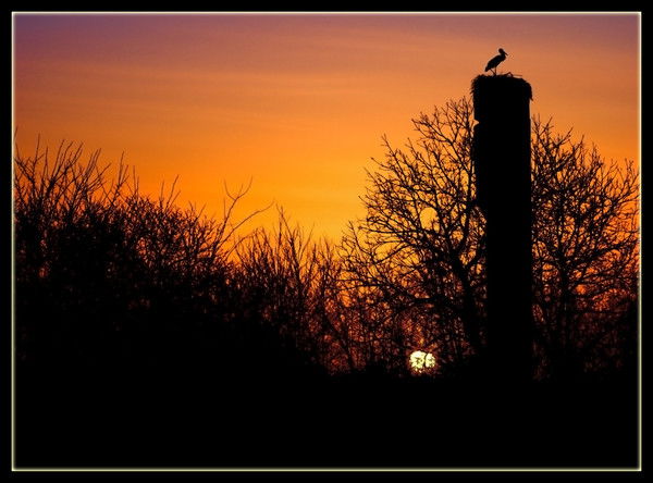 Геннадий Быков