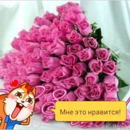 Нина Попова