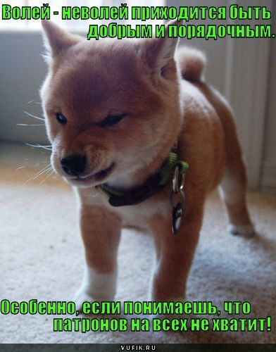 Татьяна Макарова