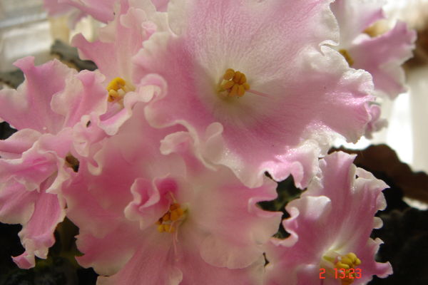 Неизвестно Неизвестно