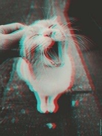 Белла Долгорукова