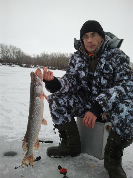 Николай Сергеев