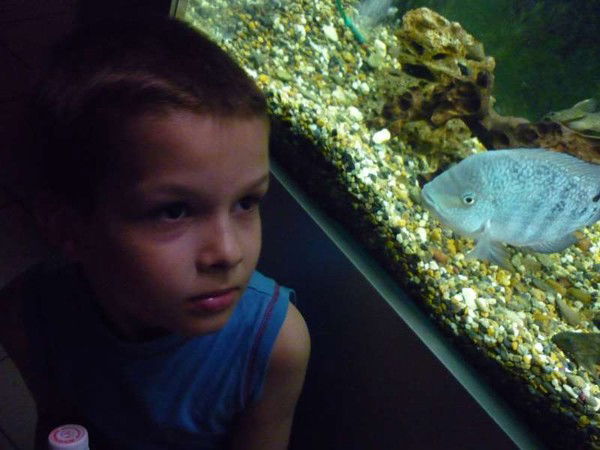 Константин Винс