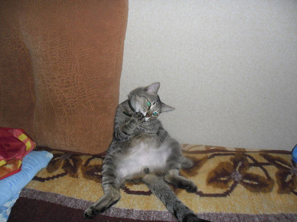 Георгий Абрамовский