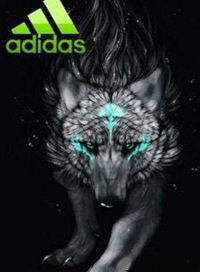 Андрей Целых