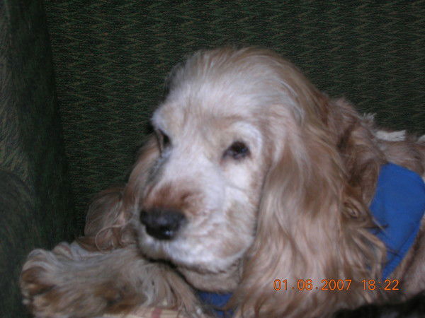 Андрей Мартынов