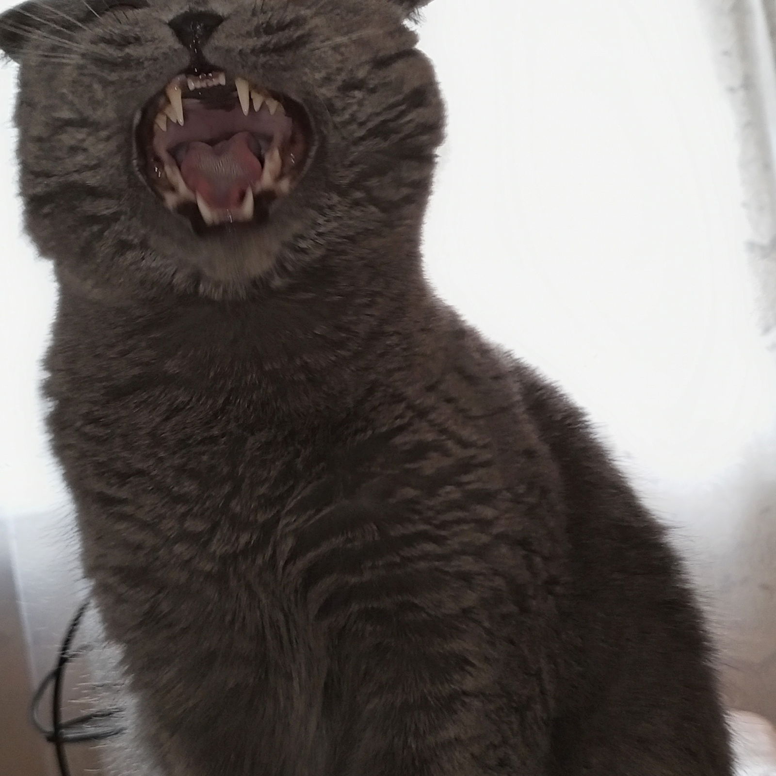 Владимир Верютин