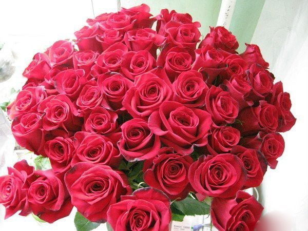 Жанат Иманбаева